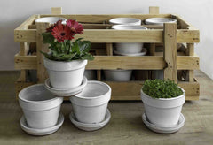 Photo of Campania Garden Terrace Small Round Crate Set of 16 - Exclusively Campania