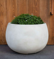 Photo of Campania Norfolk Planter - Exclusively Campania