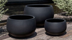 Photo of Campania Norfolk Planter - Exclusively Campania