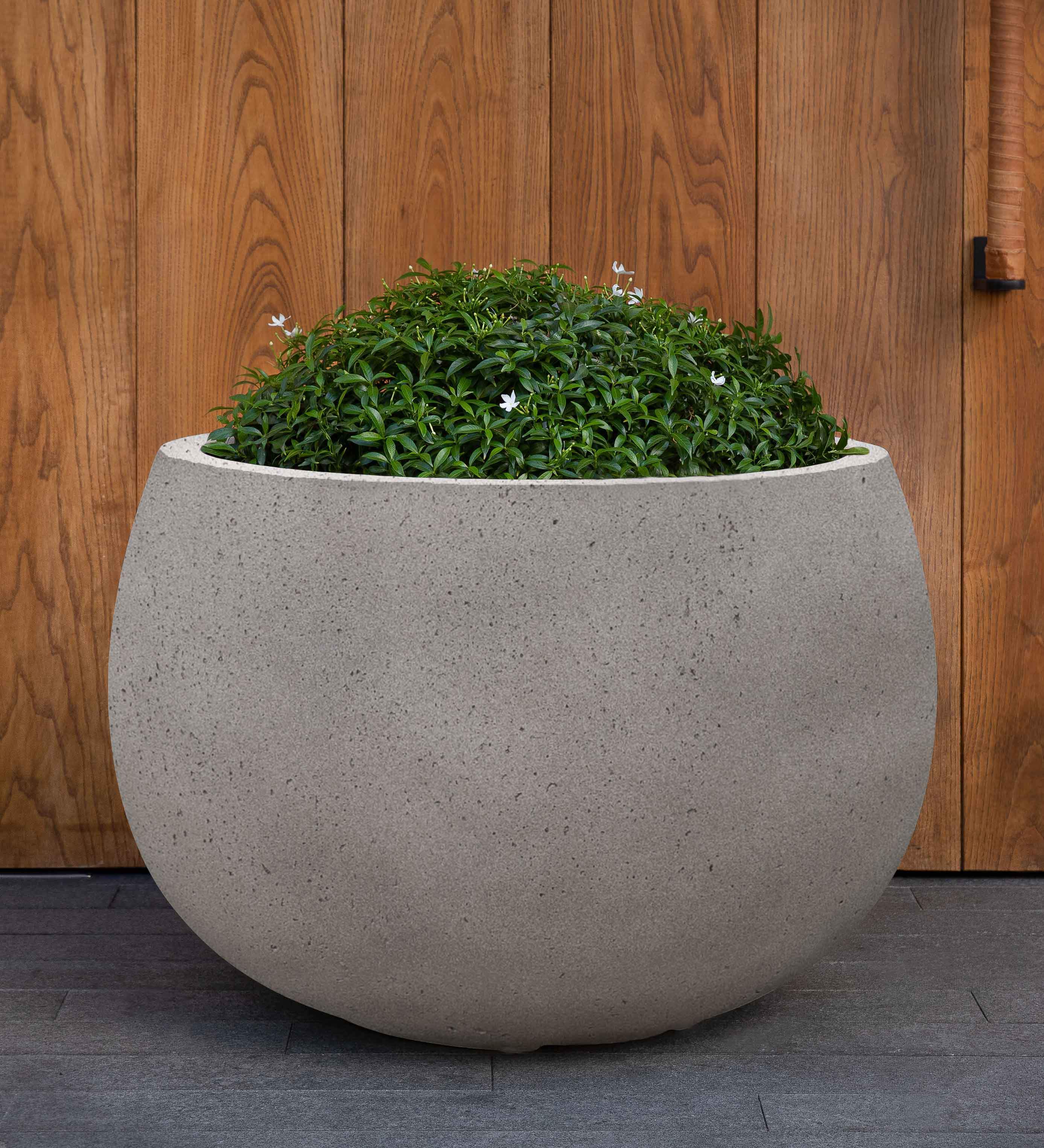 Photo of Campania Norfolk Planter - Exclusively Campania