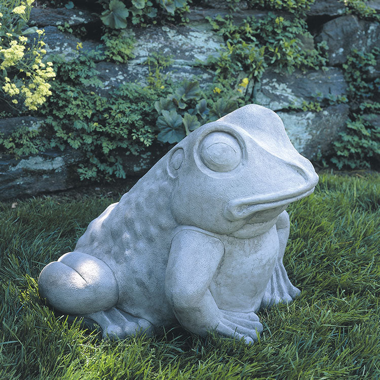 Photo of Campania Giant Garden Frog - Exclusively Campania
