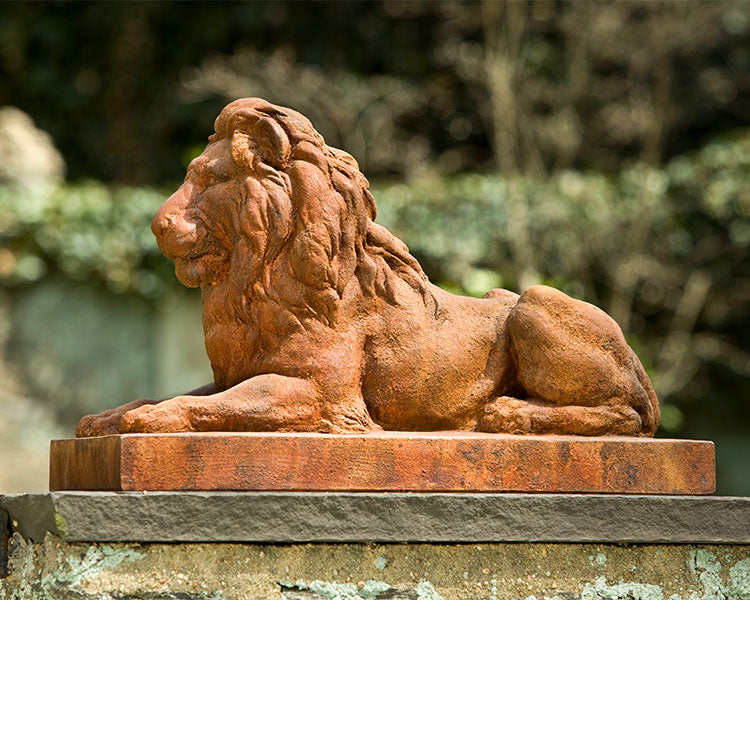 Photo of Campania Classic Lion - Exclusively Campania