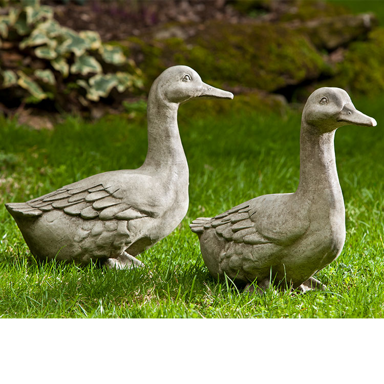 Photo of Campania Quackers - Exclusively Campania