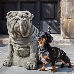 Photo of Campania Antique Bulldog - Exclusively Campania