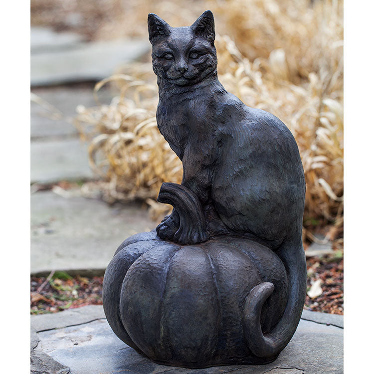 Photo of Campania Cat on Pumpkin - Exclusively Campania