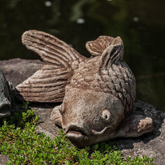 Photo of Campania Coy Koi - Exclusively Campania