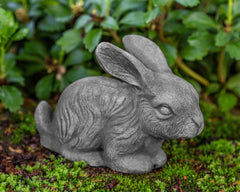 Photo of Campania Bunny - Exclusively Campania