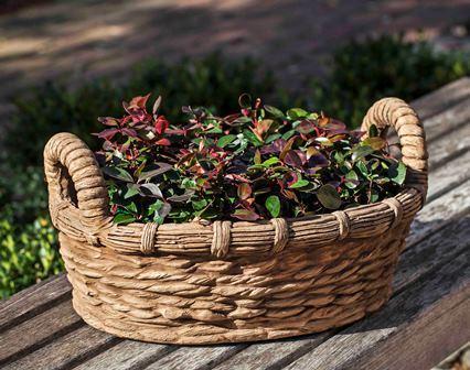 Photo of Campania Provencal Basket Planter - Exclusively Campania