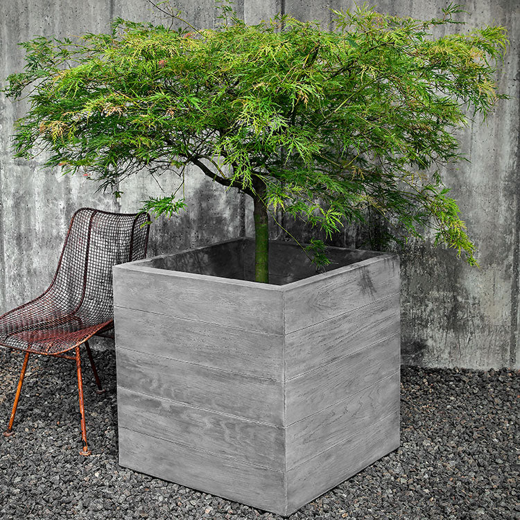 Photo of Campania Chenes Brut Planters - Exclusively Campania