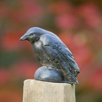 Photo of Campania Small Raven - Exclusively Campania