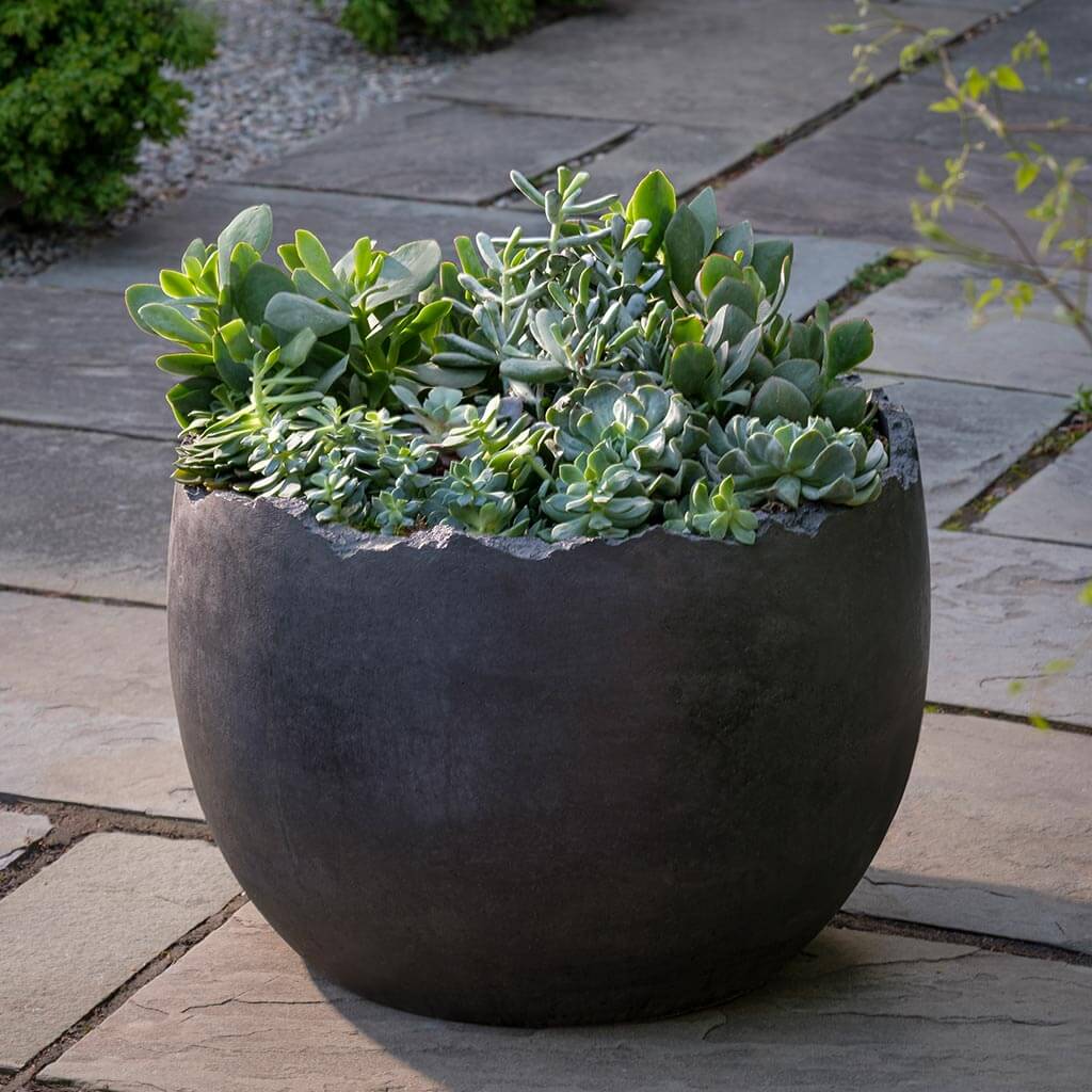 Photo of Campania Broken Egg Planter - Grade AA - Exclusively Campania