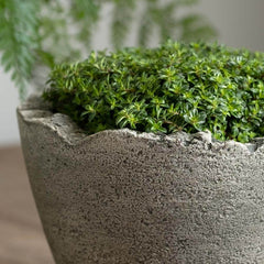 Photo of Campania Broken Egg Planter Mini - Exclusively Campania